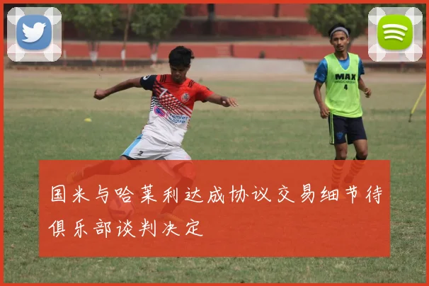 国米与哈莱利达成协议交易细节待俱乐部谈判决定